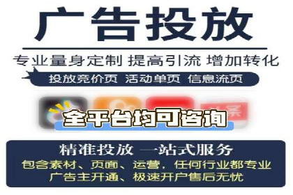 某行业SEM投放效果显著案例分享